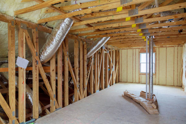 Best Insulation Replacement Services  in Carthage, NC