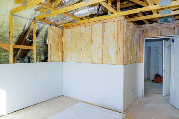 Best Home Insulation Services  in Carthage, NC
