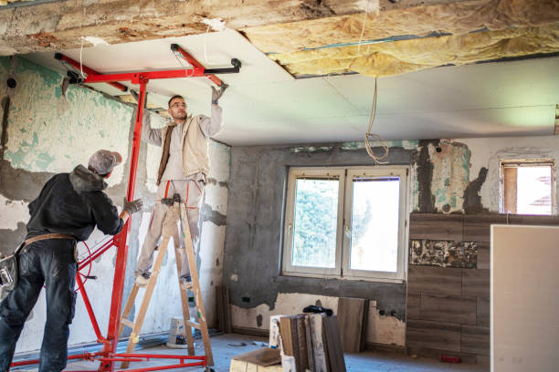 Best Insulation Contractors for Homes  in Carthage, NC