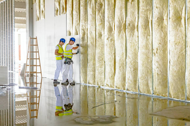 Best Insulation for New Construction  in Carthage, NC